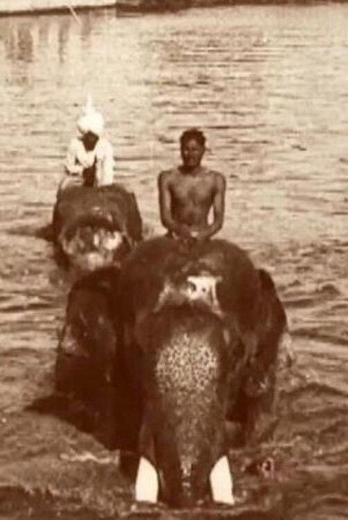 Edward Prince of Wales' Tour of India: Indore, Bhopal, Gwalior and Delhi