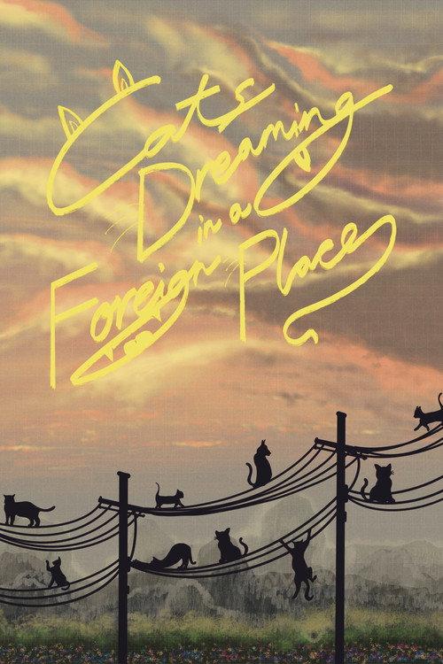 Cats Dreaming in a Foreign Place