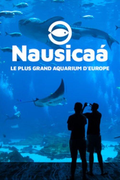 Nausicaa, le plus grand aquarium d'Europe