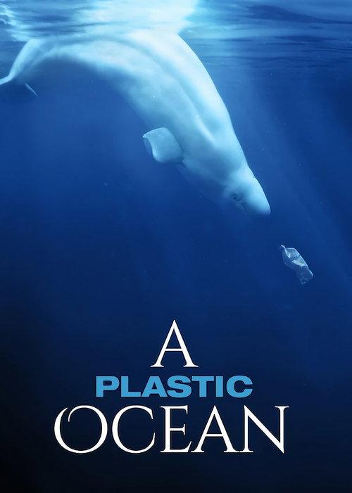 Plastikowy ocean