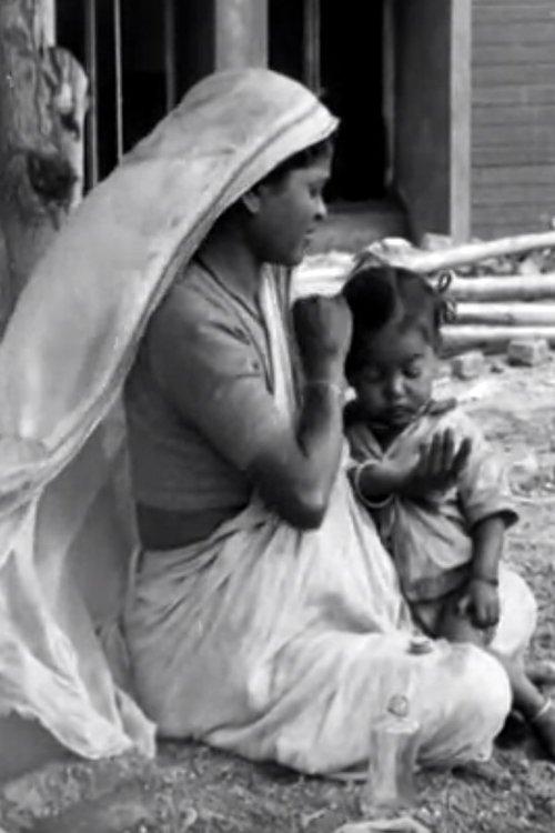 A Day with the Builders