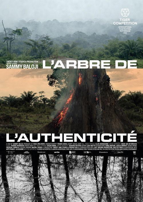 L'arbre de l'authenticité