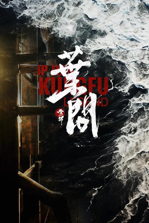 Ip Man Kung Fu Legend