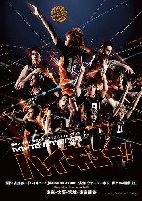 ハイパープロジェクション演劇「ハイキュー!!」頂いただきの景色