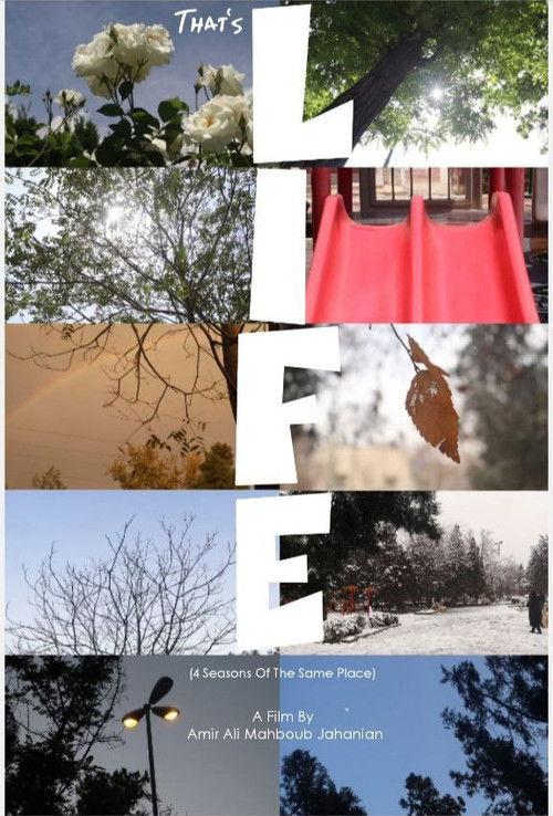 این است زندگی