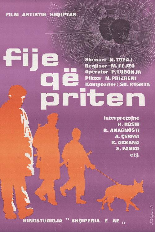 Krzyżujące się nici