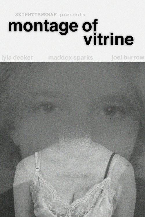 Montage of Vitrine