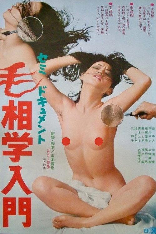 セミドキュメント 毛相学入門