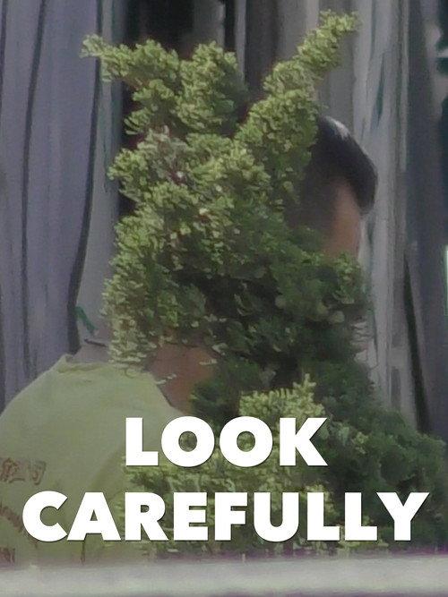 Look Carefully