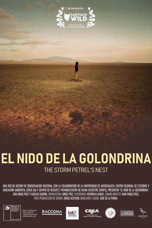 El nido de la golondrina