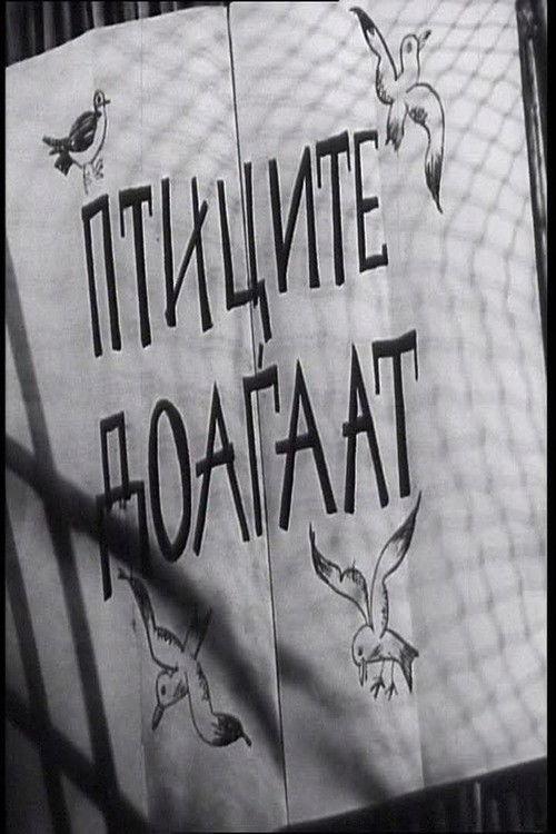 Птиците доаѓаaт