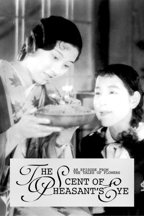 乙女シリーズその一 福寿草