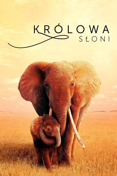 Królowa słoni