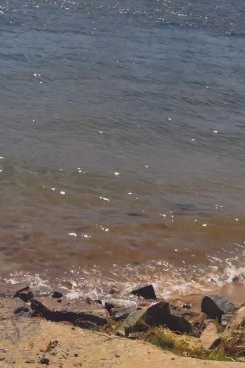 Rio, Memórias, Recomeços...