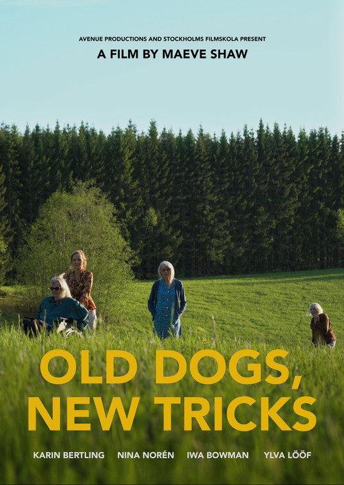Old Dogs, New Tricks