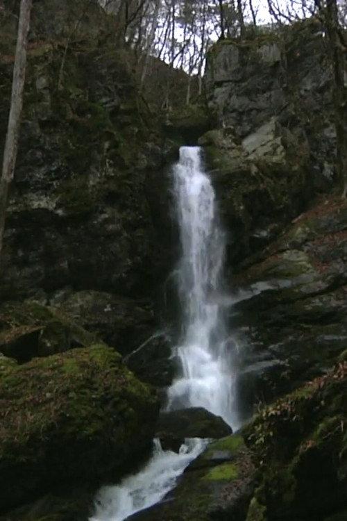 落水散景