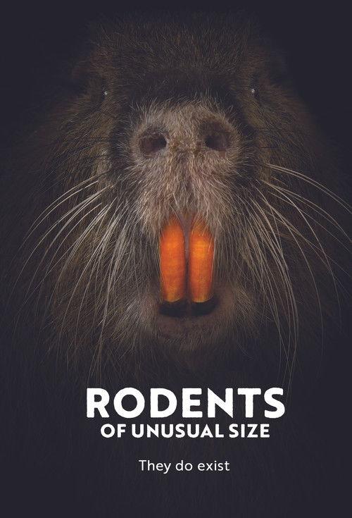 Rodents of Unusual Size