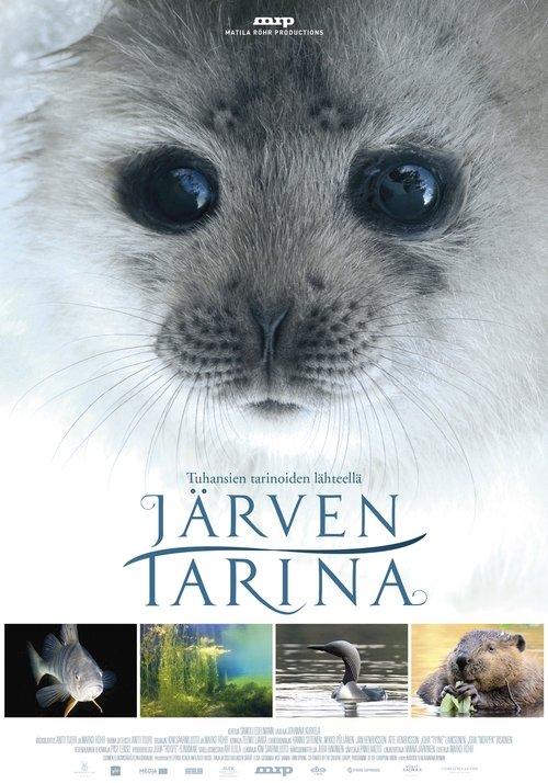 Järven tarina