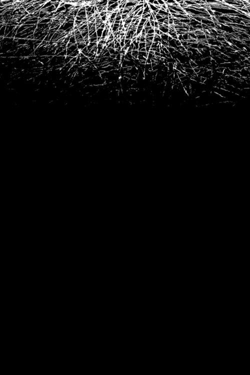 Sapagkat sa Aking Pag-iisip, Mayroong Bigat na Ayaw Kong Ikaw ang Magpasan