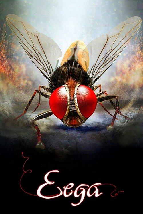 ఈగ