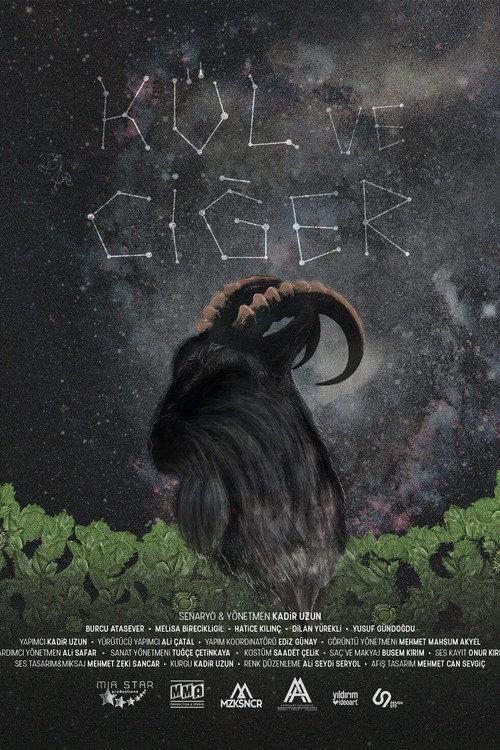 Kül ve Ciğer