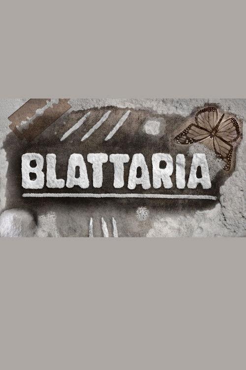 Blattaria