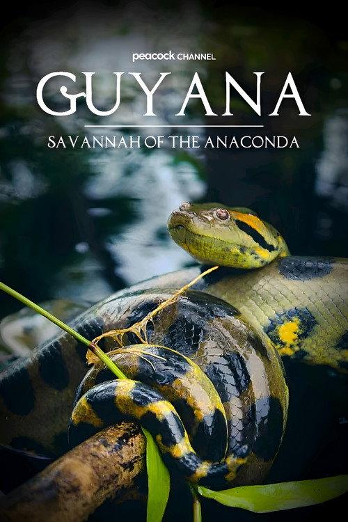 Guyana: Savannah Of The Anaconda
