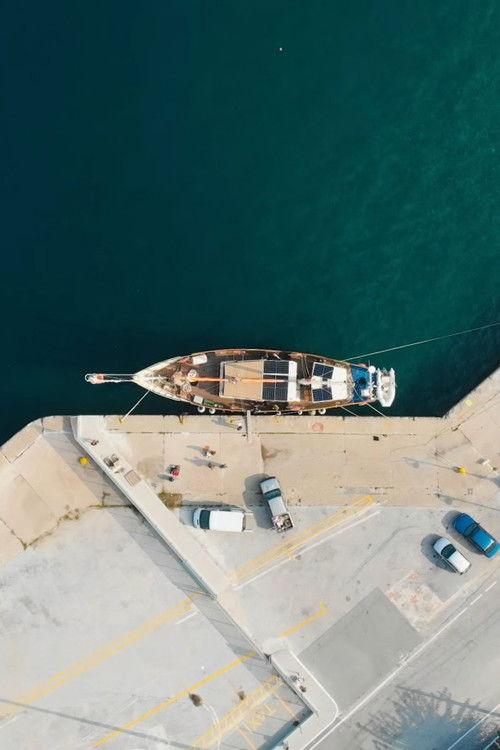 Saving the Hidden Coral of the Mediterranean
