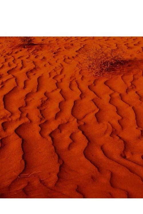 Exile & Desertification