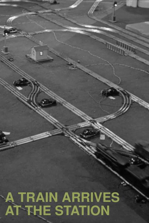 A Train Arrives at the Station