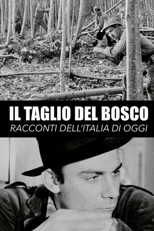 Il taglio del bosco