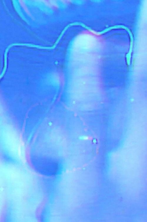 Here Is the Imagination of the Black Radical