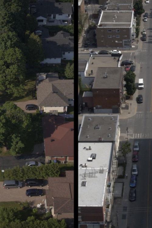 Des voisins dans ma cour