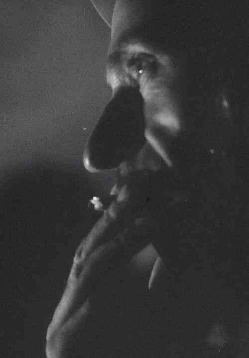 Լեռնային պարեկ