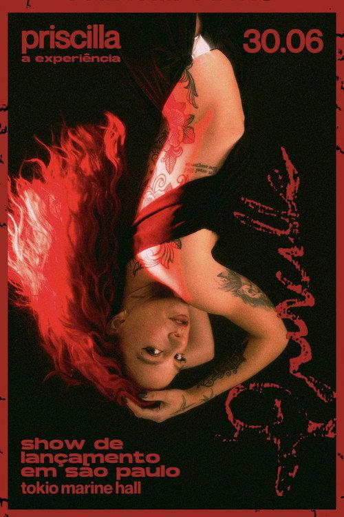 PRISCILLA: A Experiência