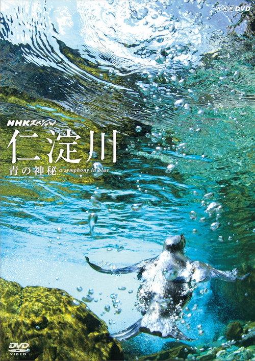 仁淀川 青の神秘