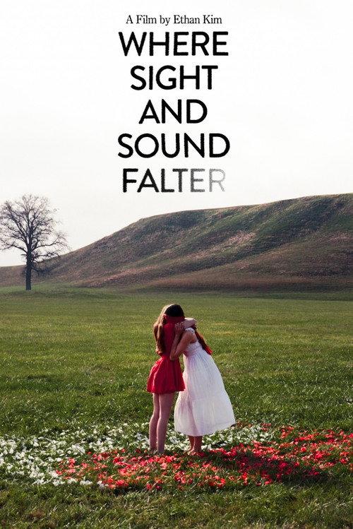 Where Sight and Sound Falter
