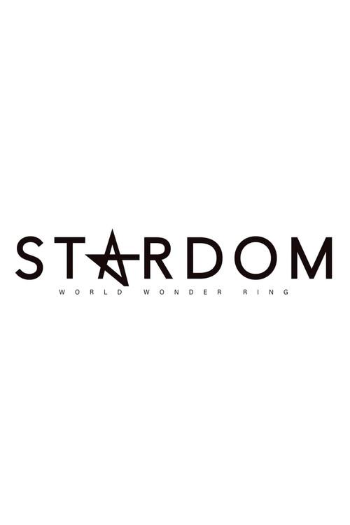 スターダム豊橋大会