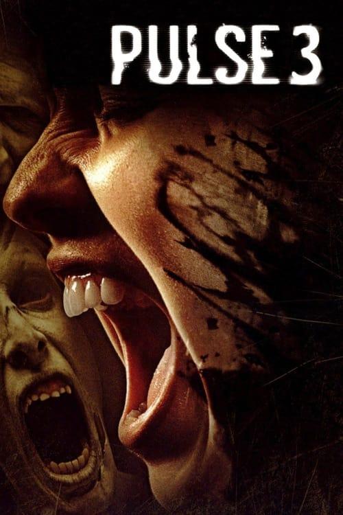 Puls 3