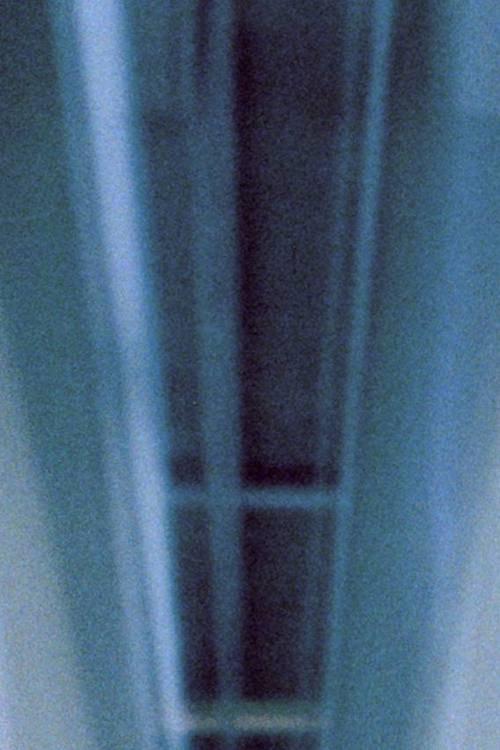 Untitled (Generali Foundation Vienna)
