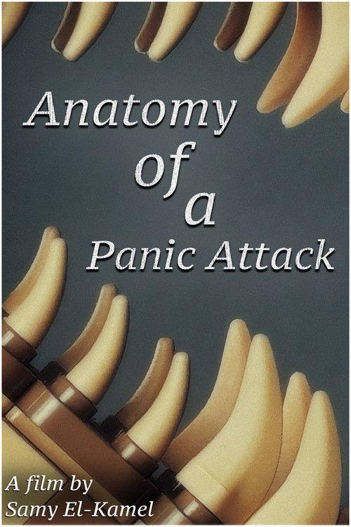 Anatomy Of A Panic Attack
