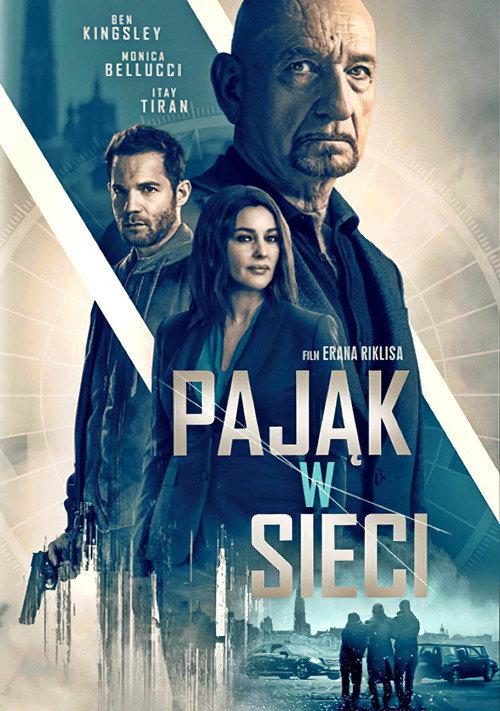Pająk w sieci