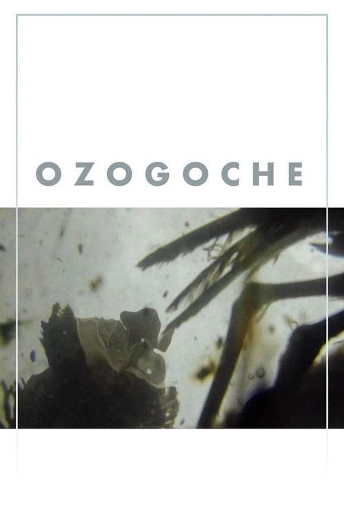 Ozogoche