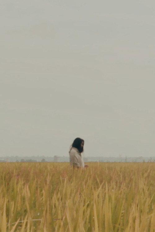 The Lost Piece