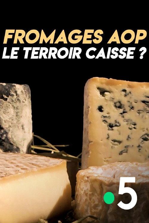 Fromages AOP : le terroir caisse ?