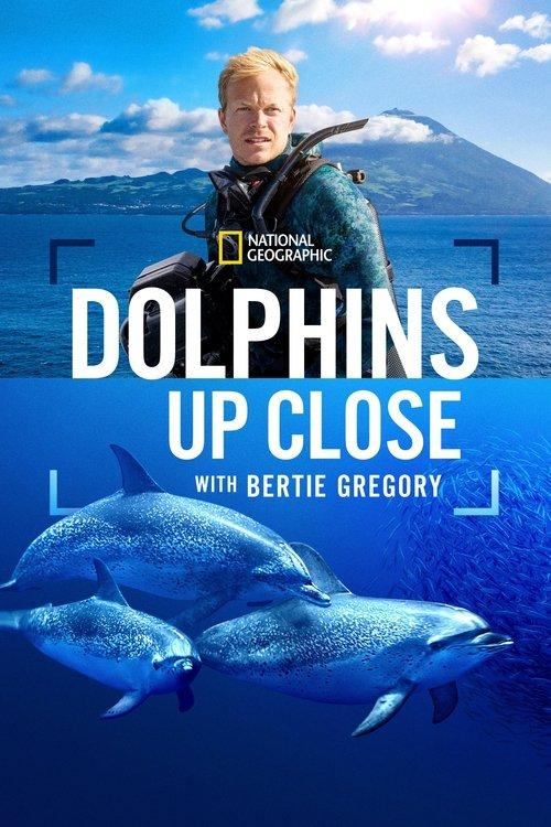 Bertie Gregory: bliskie spotkanie z delfinami