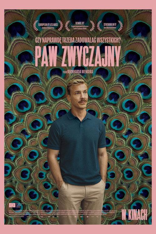 Paw zwyczajny