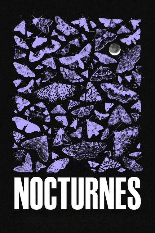 Nocturnes