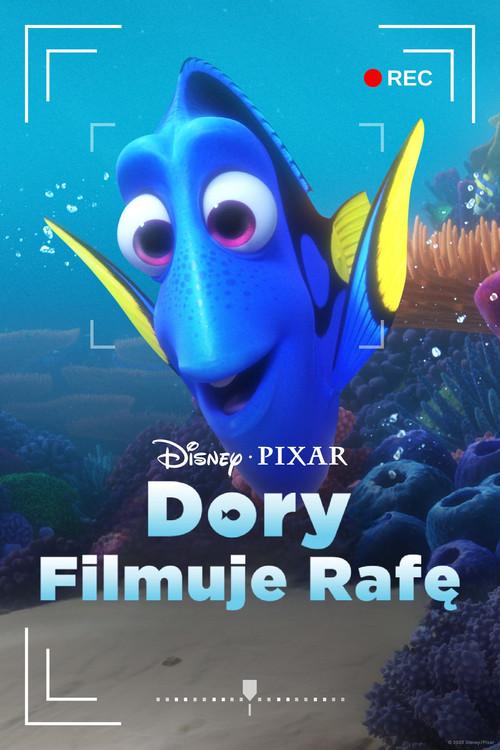 Dory filmuje rafę