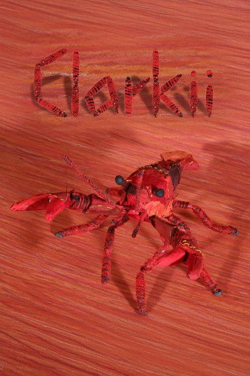 Clarkii